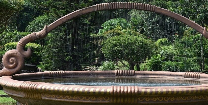 Explore the beautiful fountain inside the Teak Museum in Nilambur, Kerala