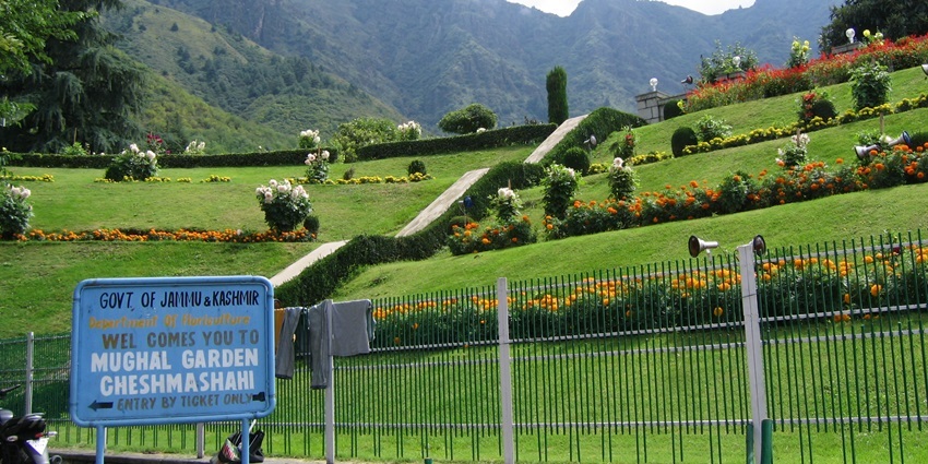 A beautiful view of Nishat Bagh with terraced flower beds blooming under sunshine