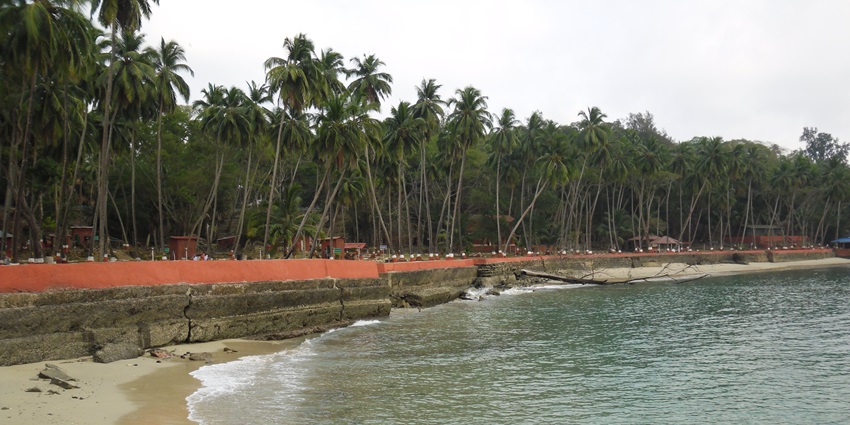 A view of the azure waters and palm trees lining the North Bay Island in Port Blair