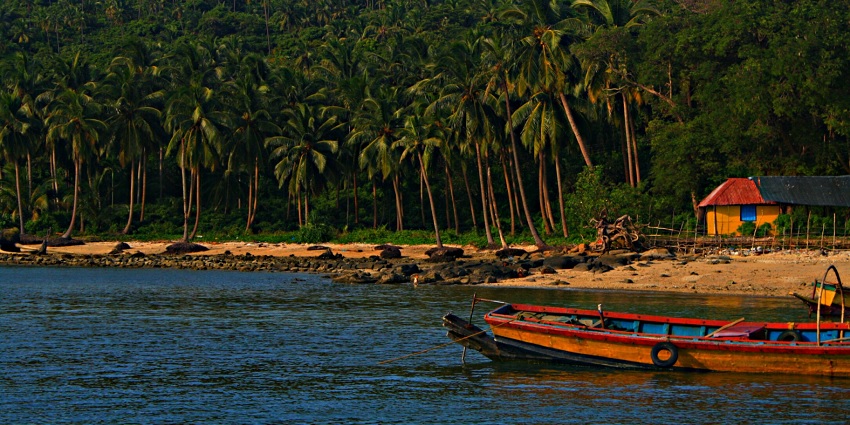 Snorkelling in Andaman on the North Bay Island is one of the serene experiences.