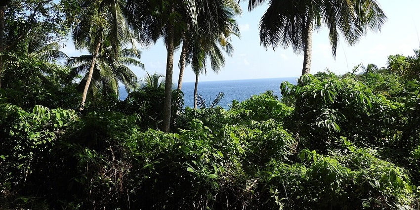 Greenery around North Bay Island which is the best place to visit around this Island.