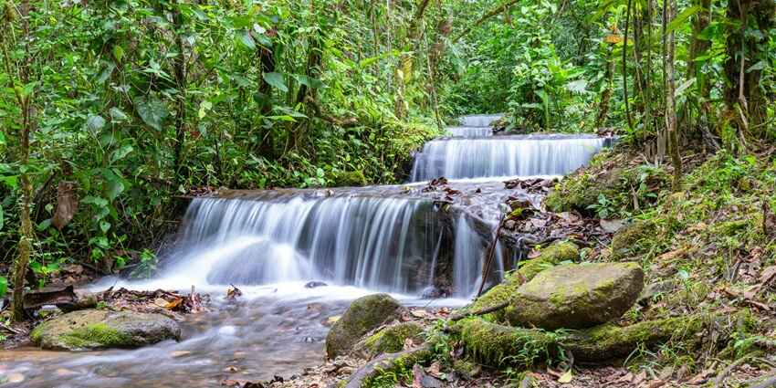 Famed for adventure, Nungnung Falls is one of the most visited attractions here.