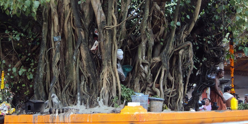 Magnificent ancient temple of Parabrahma Temple- one of the best places to visit in Kollam