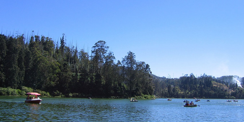 Boats sailing in the sparkling water of Ooty Lake, encircled by the embrace of lush forest