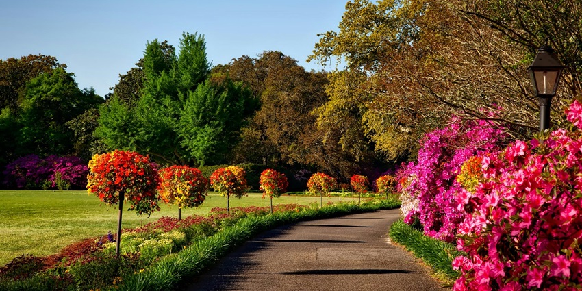 The scenic snapshot of the beautiful garden surrounded by idyllic colourful flowers