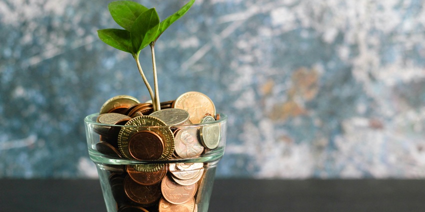 A view of a transparent glass with coins in it with a green plant growing from inside.