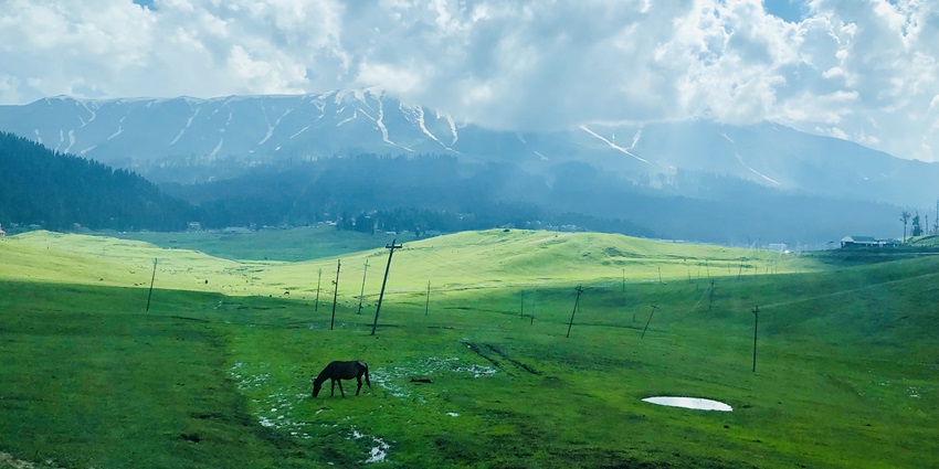 Get lost in the serenity of Outer Circle Walk, one of the attractions in the Gulmarg trip.