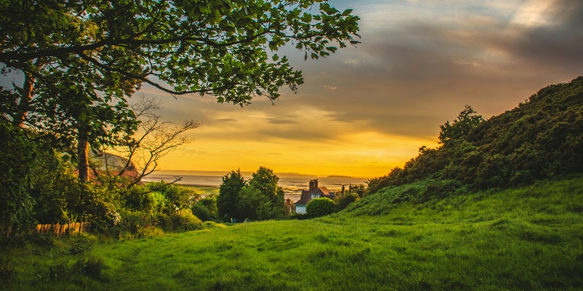 Even the outskirts of Pampadum Shola National Park possess unmatchable beauty, attracting tourists.