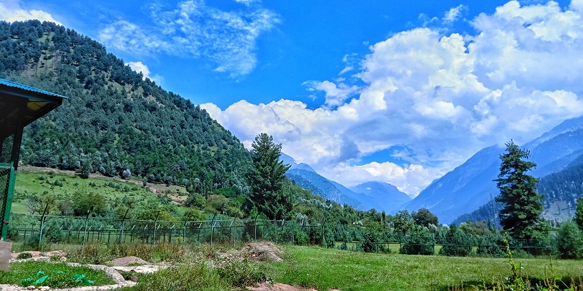 The green landscapes and blue cloudy skies of the Overa-Aru Wildlife Sanctuary