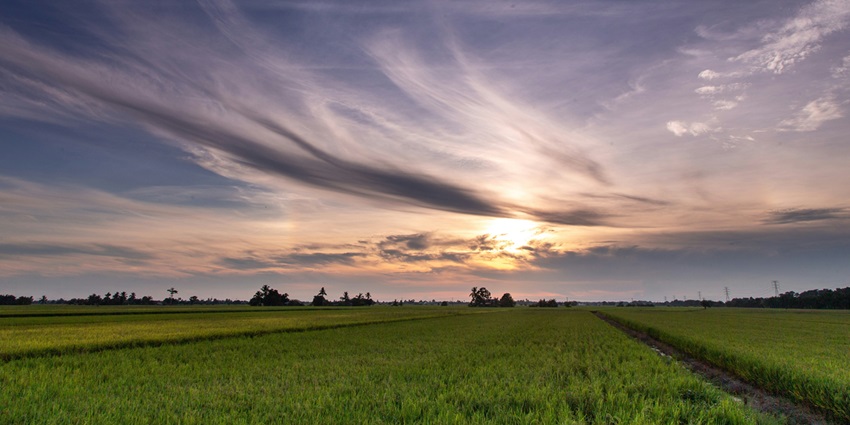 Lush green terraces with a serene, rural landscape - places to visit near Kuala Lumpur