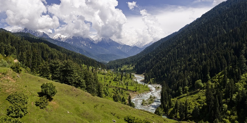 A picture of the lush green valley in Pahalgam with views of the Himalayas in the background