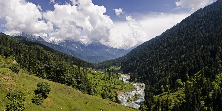 The scenic view of a river flowing through the trees in Pahalgam, a place near Katra
