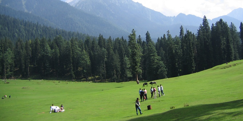 A view of the green meadows with horses grazing at Pahalgam in Jammu and Kashmir
