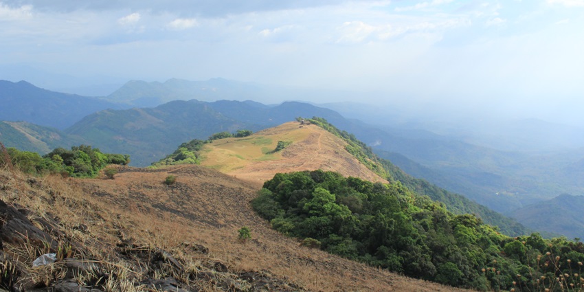 Hop on a trip to Paithalmala for a thrilling trekking experience near the Aralam Wildlife Sanctuary.