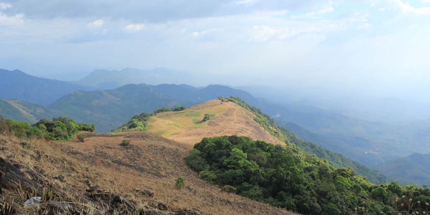 Paithalmala hill summit covered in grass is the most idyllic place to visit in Kerala in August