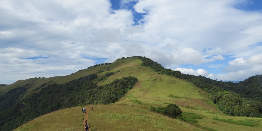 Paithalmala Hill Station is one of the best places to explore near Ezharakund Waterfalls.