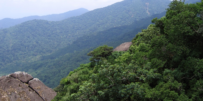 Scenic views from the way to Pakshipathalam, one of the hill stations in Wayanad