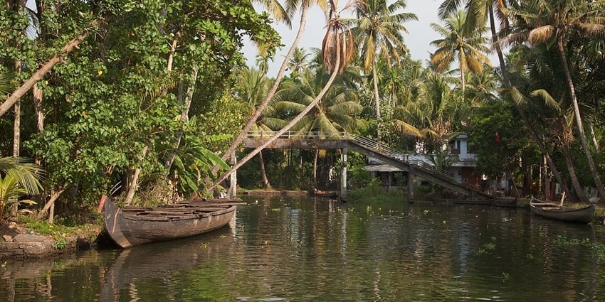 Snap of backwater amidst the palm trees and hills of Palakkad in Kerala