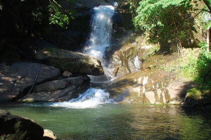 Enjoy the breathtaking views of waterfalls in Palakkad for a peaceful retreat from nature.