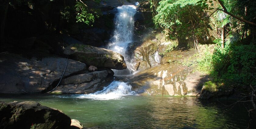 Enjoy the breathtaking views of waterfalls in Palakkad for a peaceful retreat from nature.