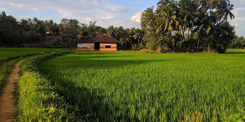 Kalpathy temple is located about 3 km from the town centre of Palakkad district in Kerala