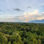 A stunning view of lush green meadows in Palakkad with a colourful rainbow in the sky.