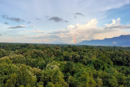 A stunning view of lush green meadows in Palakkad with a colourful rainbow in the sky.