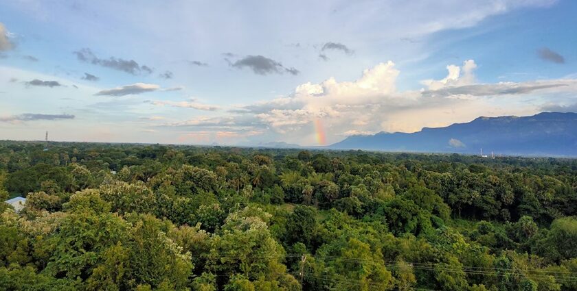 A stunning view of lush green meadows in Palakkad with a colourful rainbow in the sky.