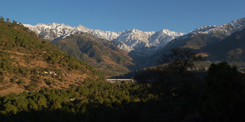 Visiting the lush landscapes of Palampur is one of the best things to do in Kangra.