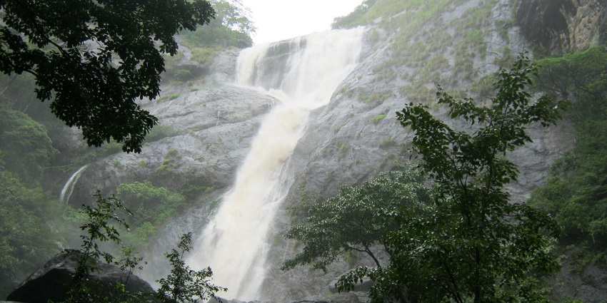 Palaruvi waterfalls is one of the most scenic places to visit near Kottarakkara temple