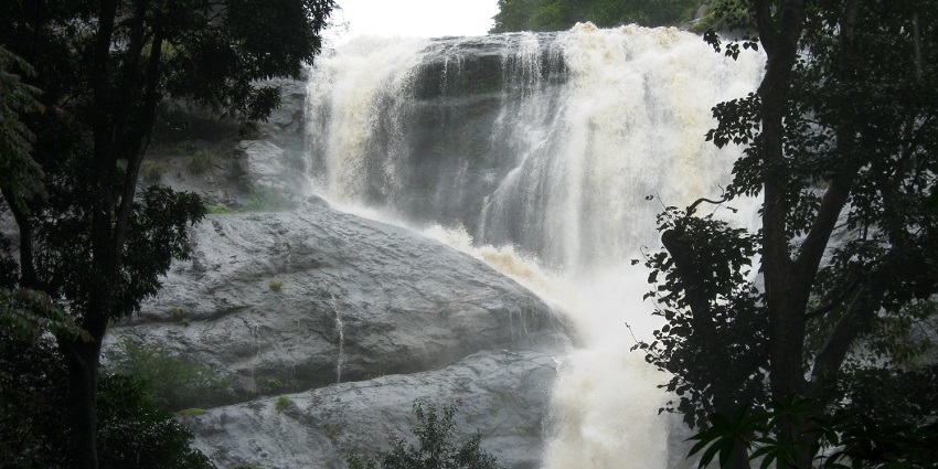 This waterfall, with milky water, is one of the most beautiful places to visit in Thenmala.