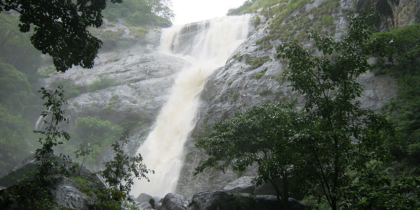 Hike at the majestic Palaruvi Falls to view scenic milky waterfalls coming down the hill