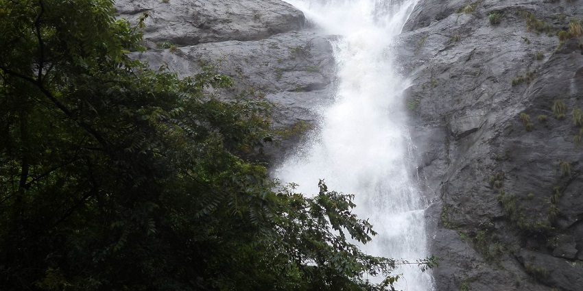 Palaruvi Waterfalls is known for its frothy milk-like flow of water; a pristine aura.