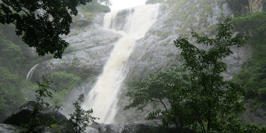 Beautiful waterfall among forest