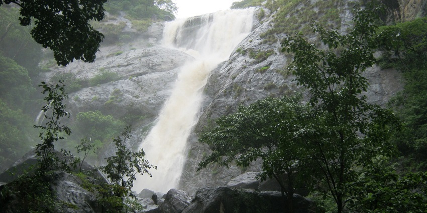 Palaruvi Waterfalls are one of the majestic destinations with milky like water , giving a surreal aura.