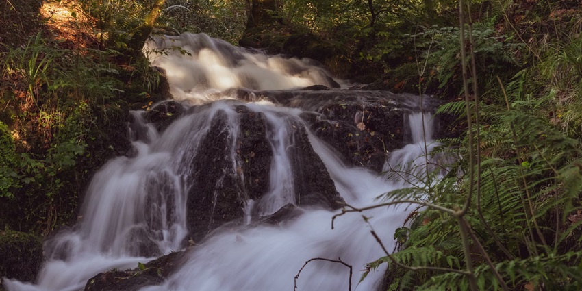 Palaruvi Waterfalls is one of the most alluring places to visit near Ashtamudi Lake.