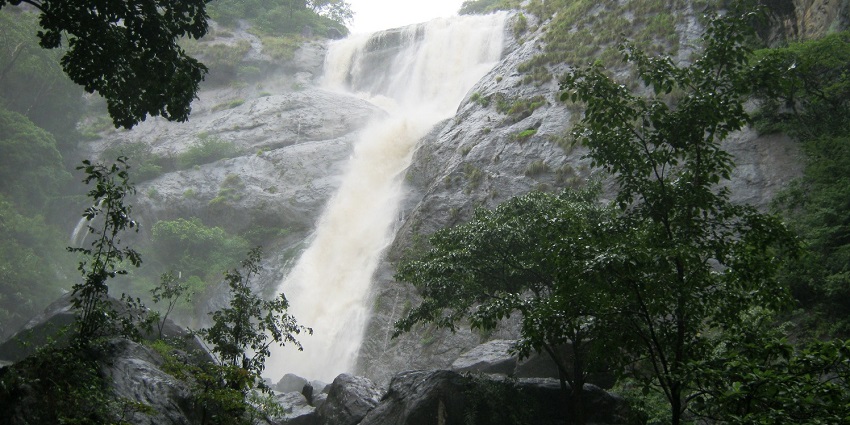 Palaruvi Waterfalls cascading through lush greenery - hill stations near Trivandrum