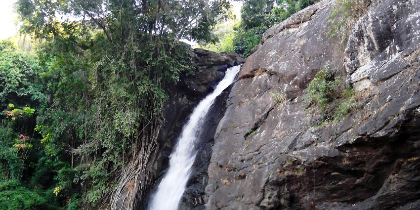 Palchuram Waterfalls, amidst the Western Ghats, is one of the most beautiful Wayanad Waterfalls.