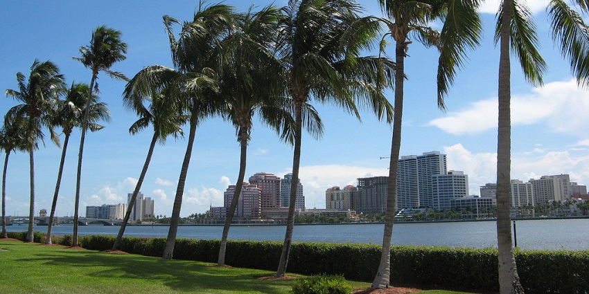 This beach offers coastal sights with tall palms and clear turquoise water crashing at sandy shores