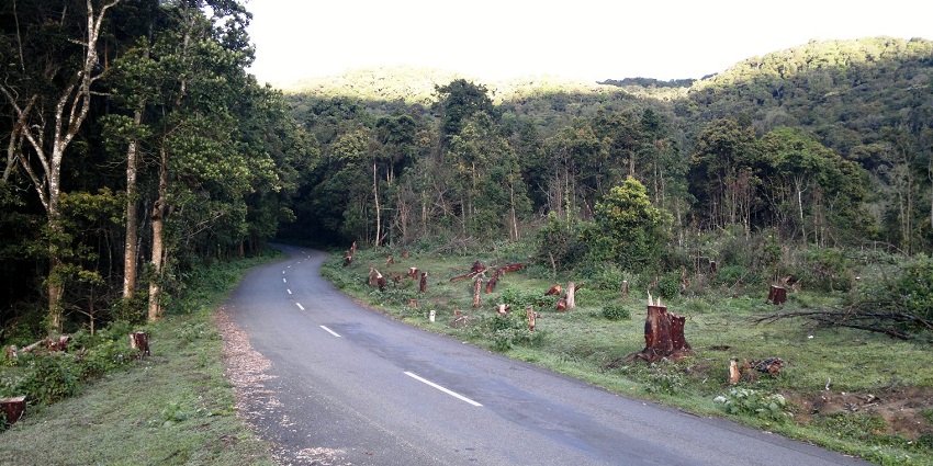 Pampadum Shola is one of the smallest natural attractions situated in Kerala.