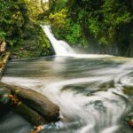 Pampanal Falls is one of the most alluring waterfalls in Kerala, which is a must-visit.