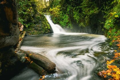 Pampanal Falls is one of the most alluring waterfalls in Kerala, which is a must-visit.