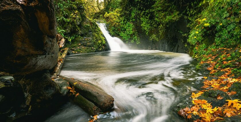 Pampanal Falls is one of the most alluring waterfalls in Kerala, which is a must-visit.