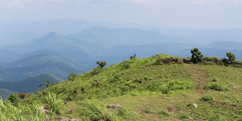 Enjoy the scenic view from the Panchalimedu, which is near the Murinjapuzha Waterfalls
