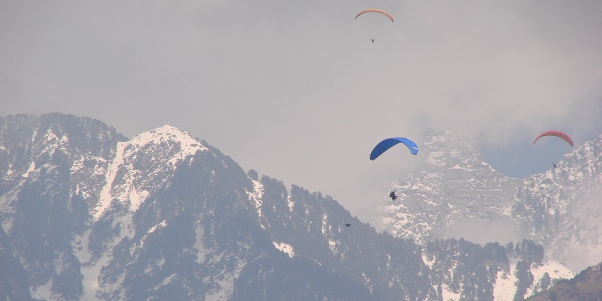 A stunning view of people paragliding, which is one of the best activities in Dharamshala.