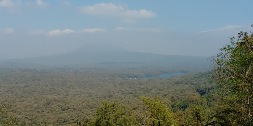 A distant view of Parambikulam Tiger Reserve near Karimpuzha Wildlife Sanctuary.