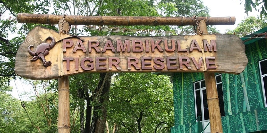 The rich biodiversity and dense forests at the Parambikulam Tiger Reserve in Kerala