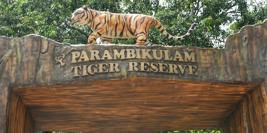 This tiger reserve is one of the best places near Kalpathy temple for wildlife enthusiasts