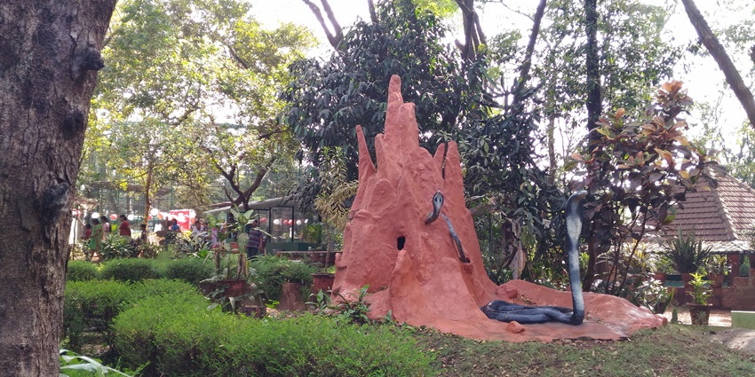 Scenic view of the snake park in the Kannur, Kerala