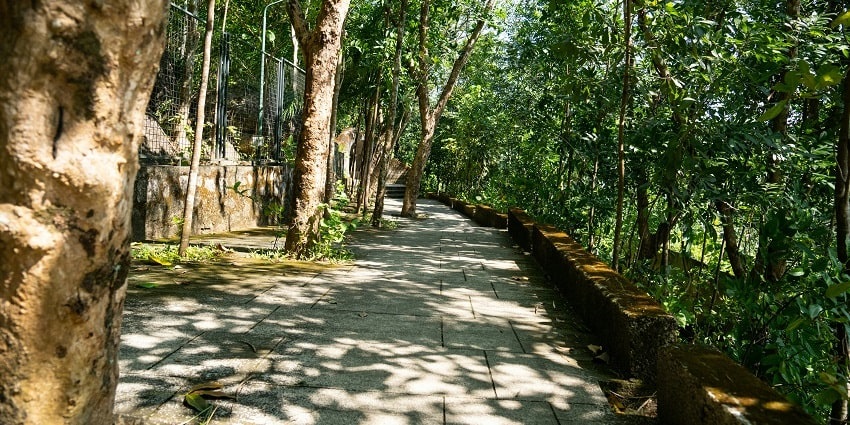 Witness the serene and lush green surroundings at the famous Nehru Park in Thrissur